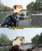 转眼没到北京的炎夏 什刹海还没开满荷花。“转眼又是北京的炎夏 什刹海又开满了荷花