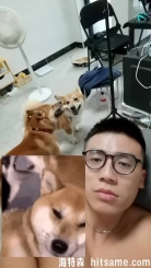 小西不在家 QAQ 狗都要欺负我